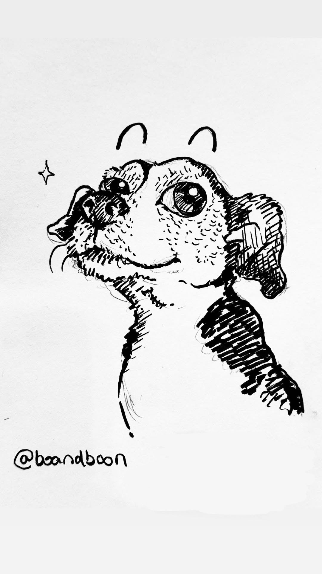 Hand-Drawn Pet Commissions