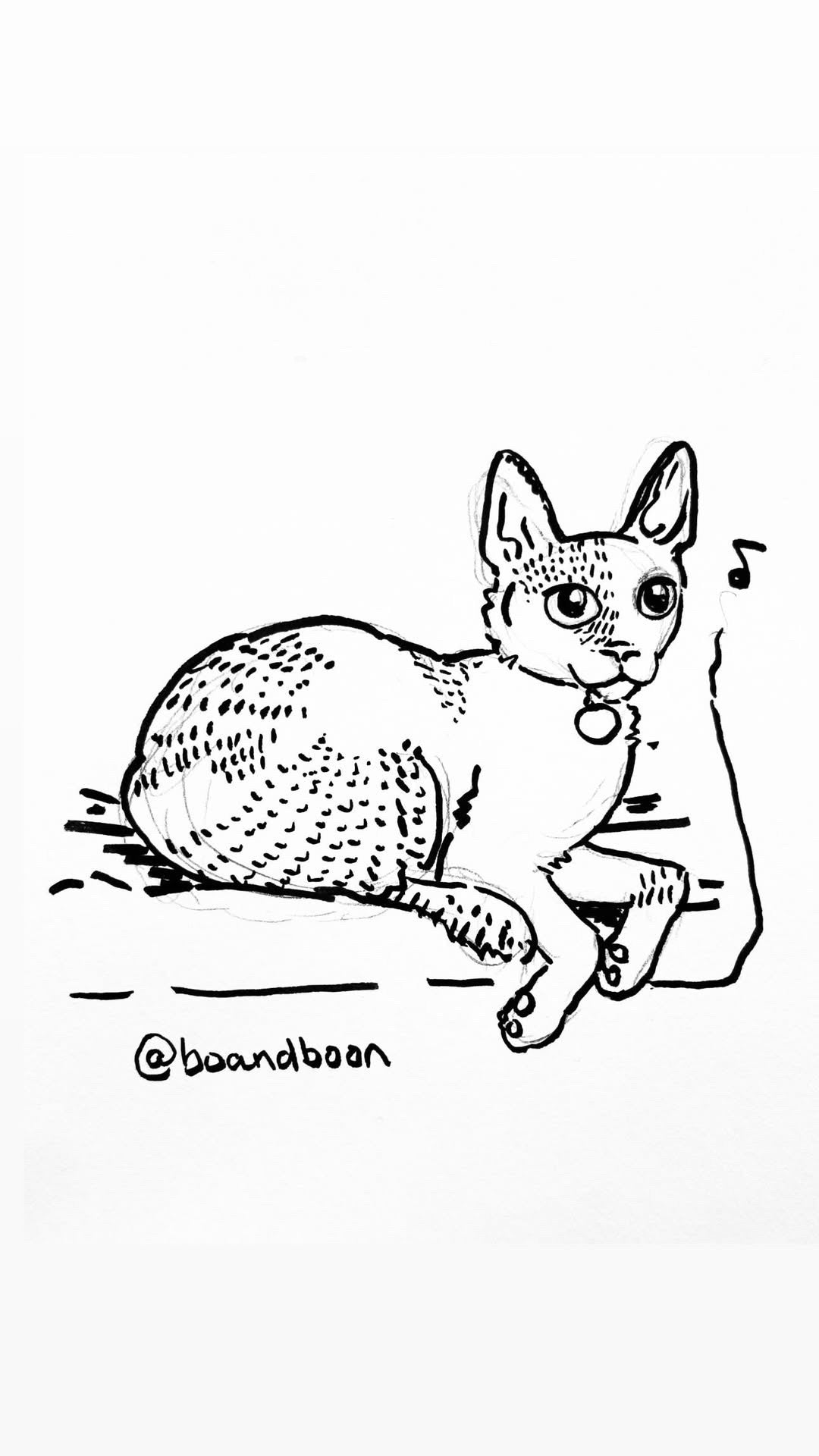 Hand-Drawn Pet Commissions