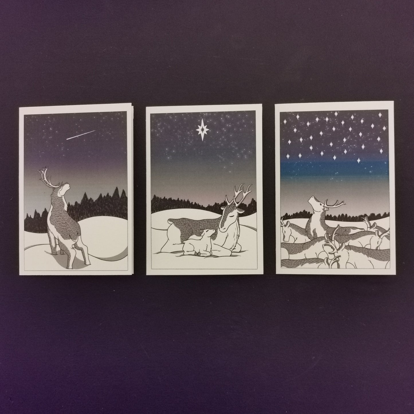 Reindeer Christmas Cards