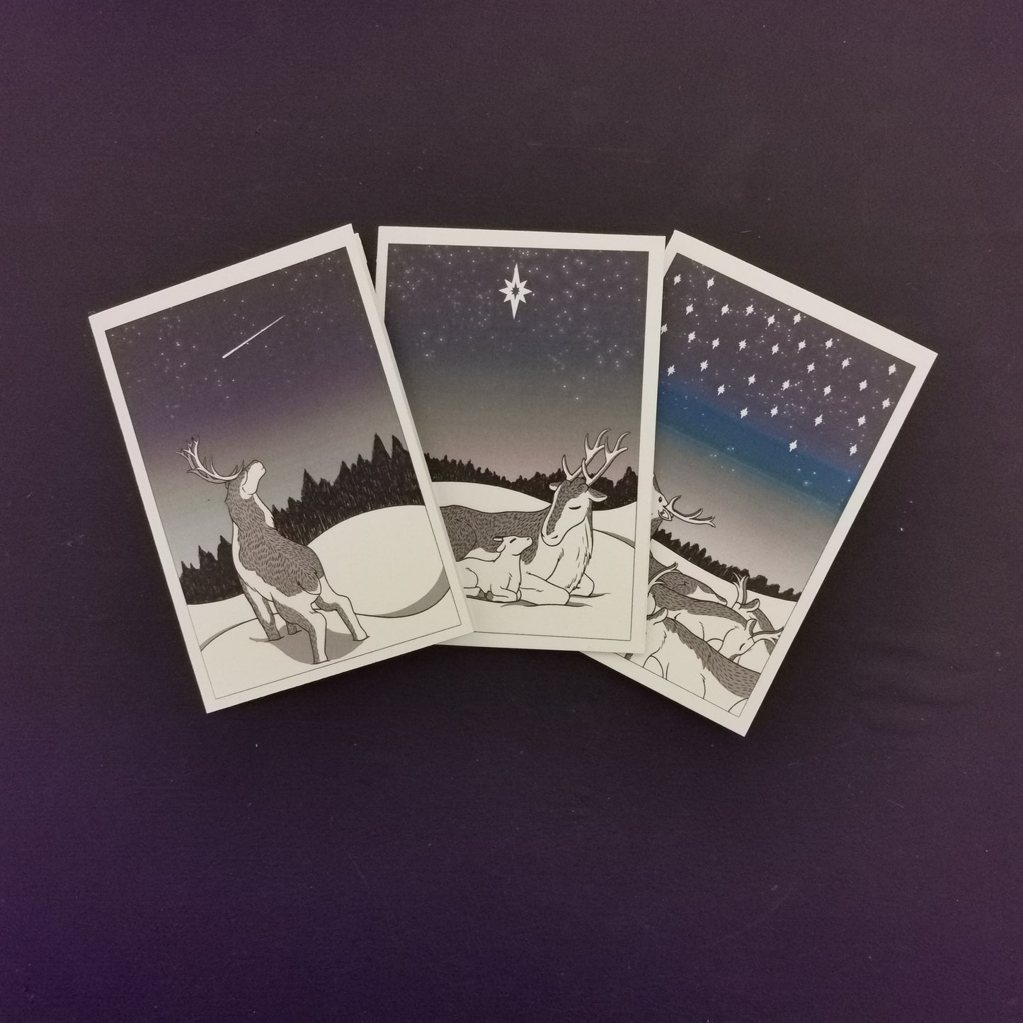 Reindeer Christmas Cards
