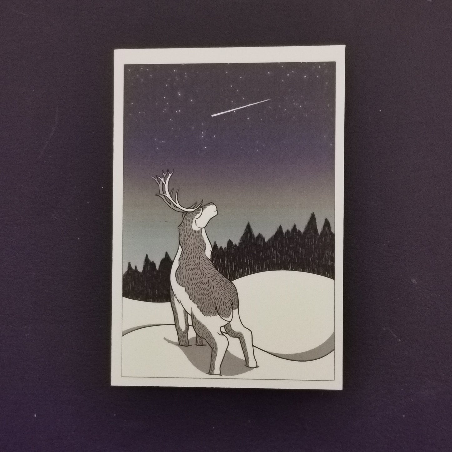Reindeer Christmas Cards