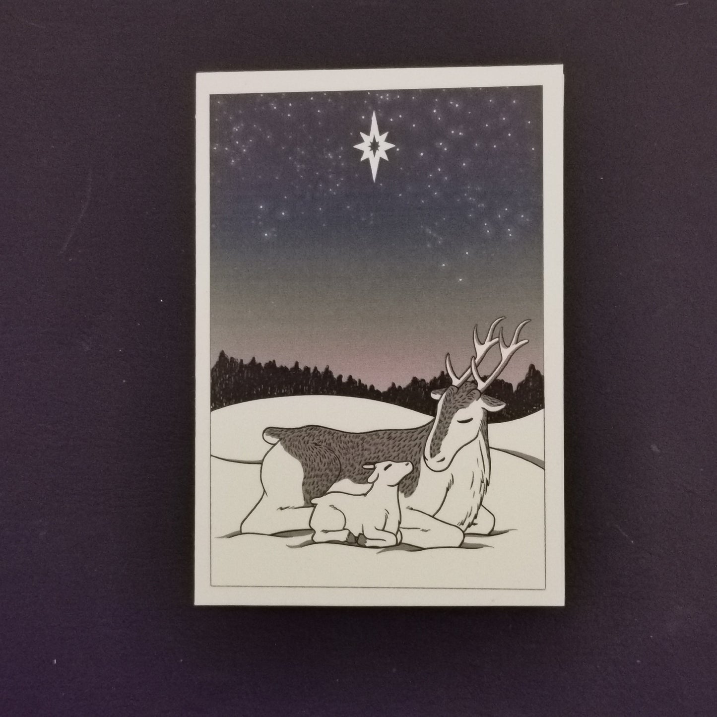 Reindeer Christmas Cards